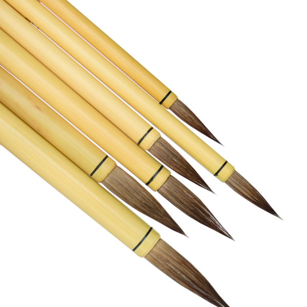 Close up image of CC series brushes