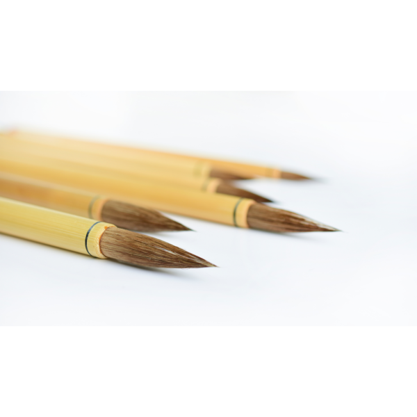 Close up showing CC series brush tips