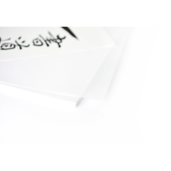 Hanshi paper zoom