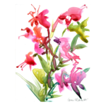 Watercolor flowers on mineral paper
