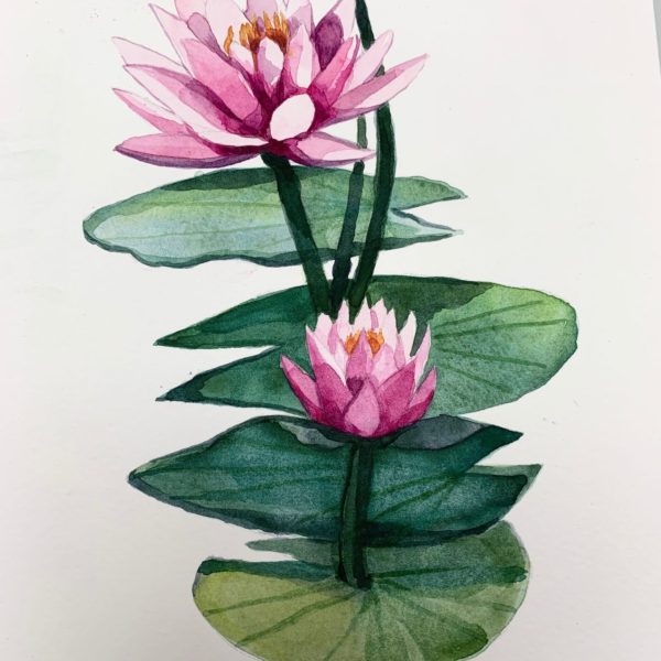 watercolor lillies