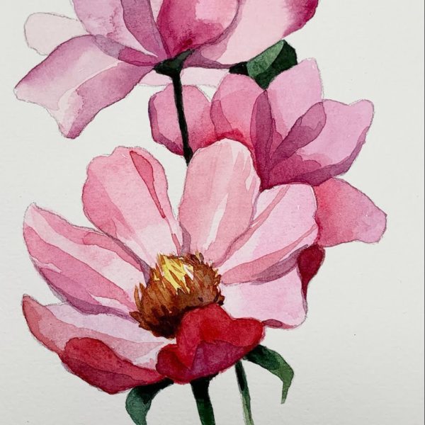 watercolor flowers
