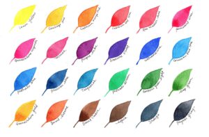 Yasutomo Sumi Colorfast Color Set, 1 inch x 1.75 inch Container, Assorted Transparent Colors, Set of 12