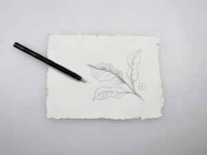 silverpoint drawing of leaves on gesso paper with silverpoint tool laid over drawing