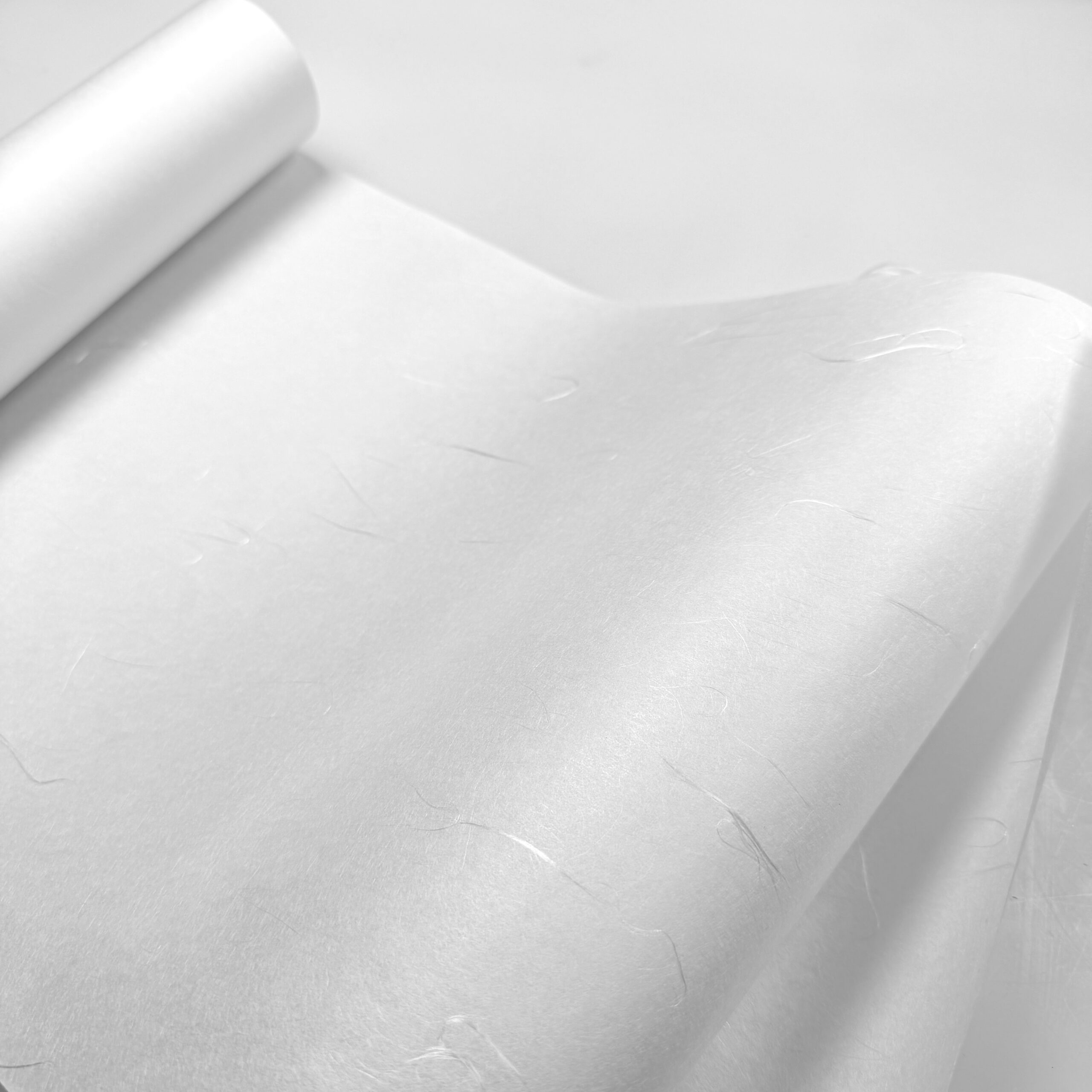 roll of unryu paper slightly unrolled