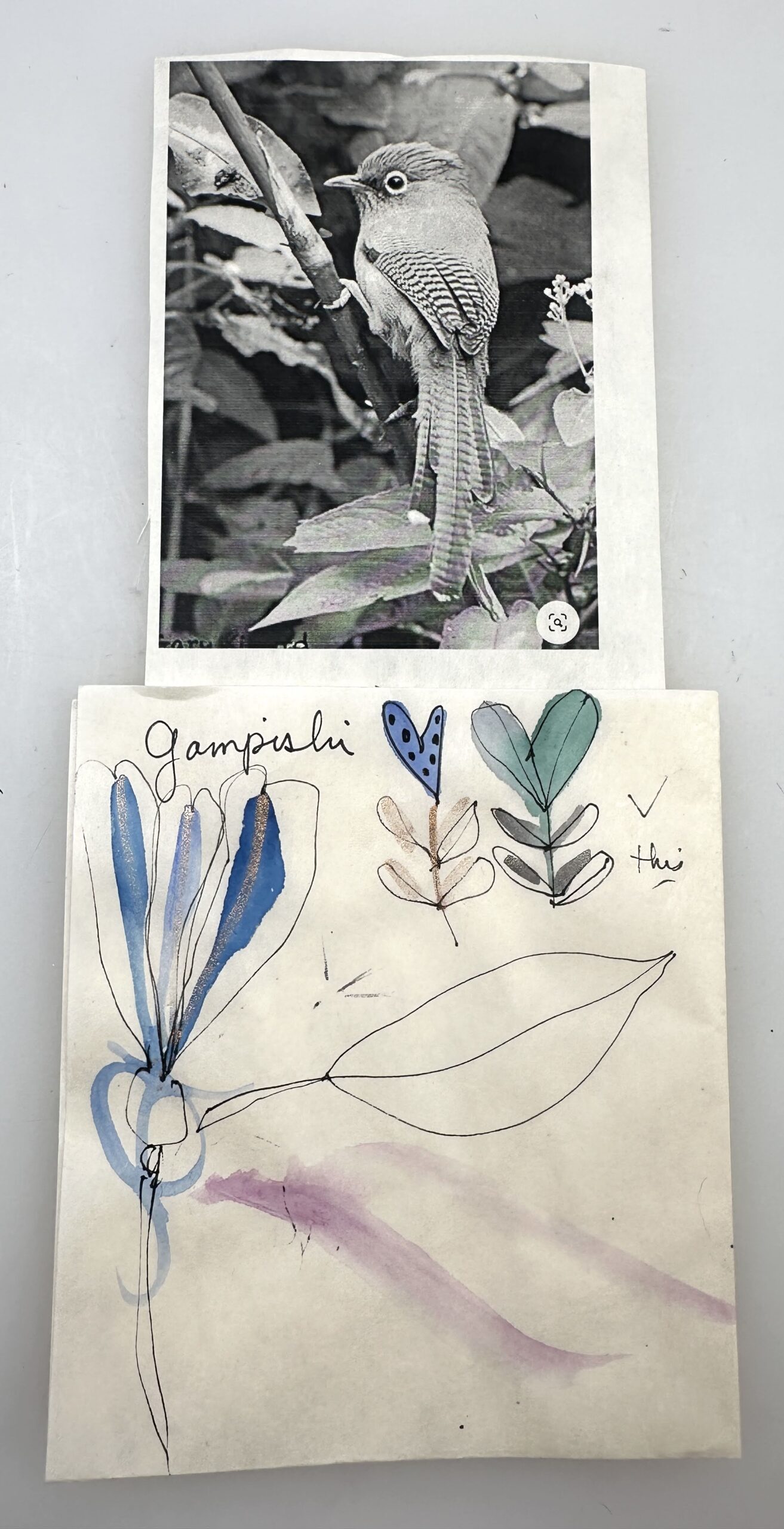 grayscale printed photo of a bird and watercolor test marks on gampi paper
