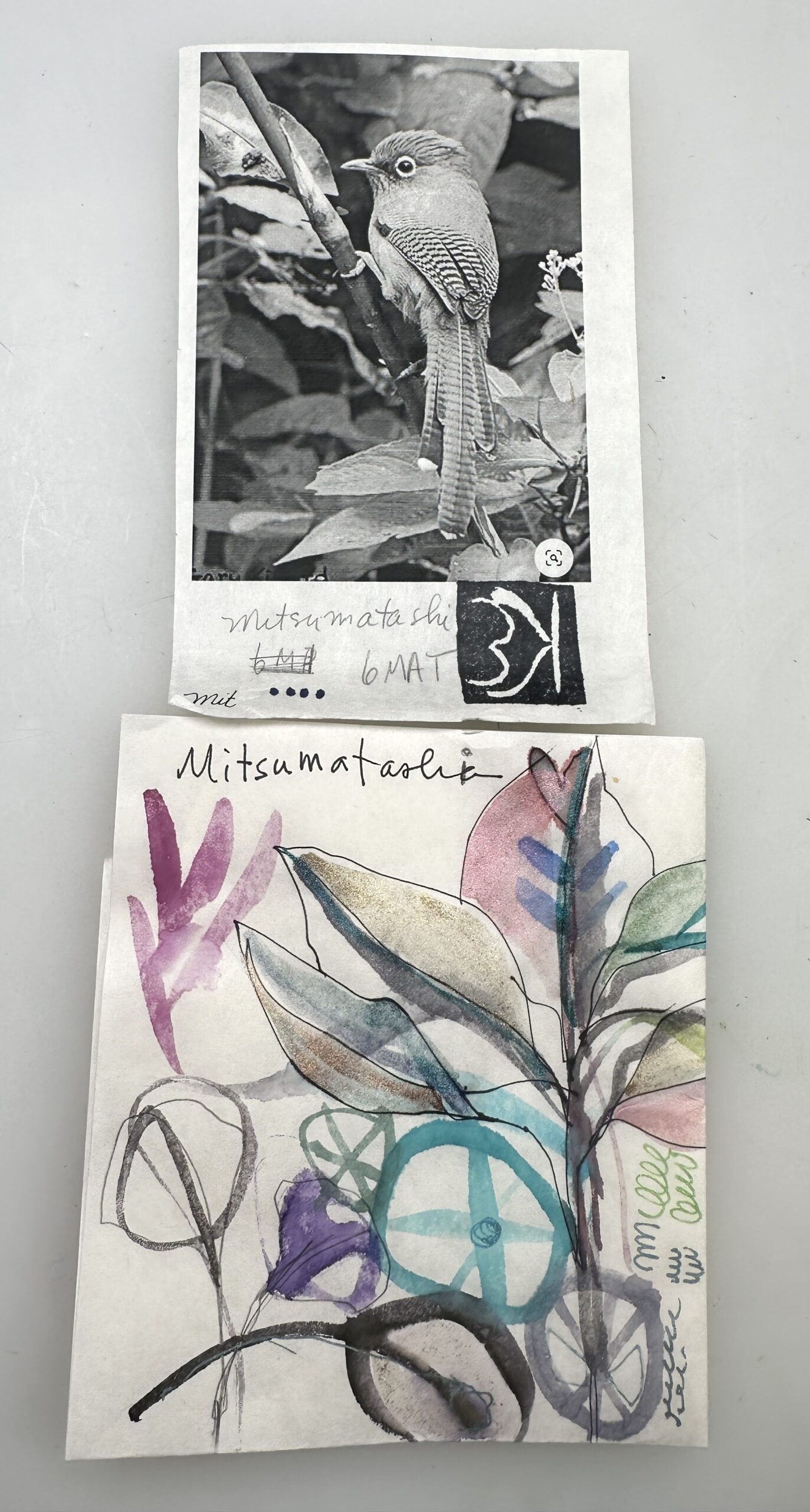 grayscale printed photo of a bird and watercolor test marks on mitsumata paper