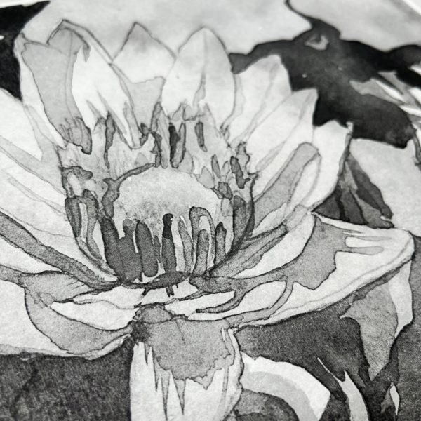 black and white lotus flower painting laser printed on Asagami paper