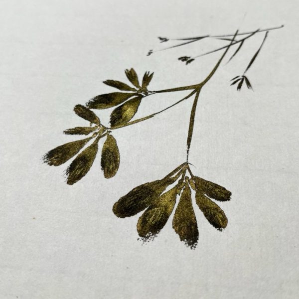 black and gold sumi flowers on Kozo paper