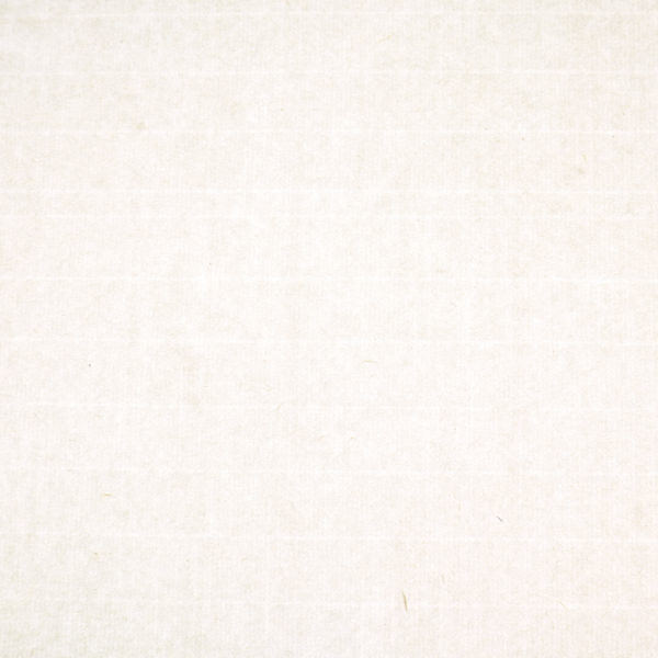 close up image showing Kozo paper texture